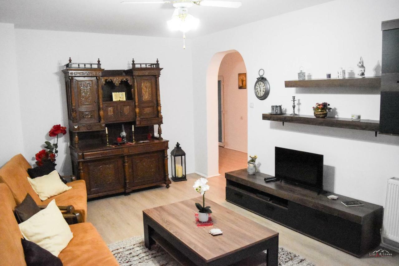Spacious And Cozy 3Bd+Terrace Couples Apartment Timişoara Extérieur photo