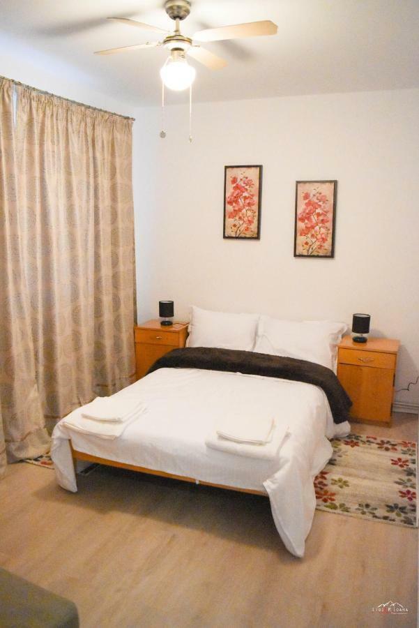 Spacious And Cozy 3Bd+Terrace Couples Apartment Timişoara Extérieur photo