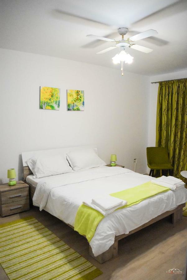 Spacious And Cozy 3Bd+Terrace Couples Apartment Timişoara Extérieur photo