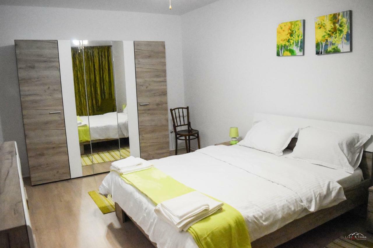 Spacious And Cozy 3Bd+Terrace Couples Apartment Timişoara Extérieur photo