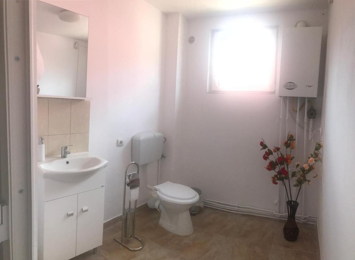 Spacious And Cozy 3Bd+Terrace Couples Apartment Timişoara Extérieur photo